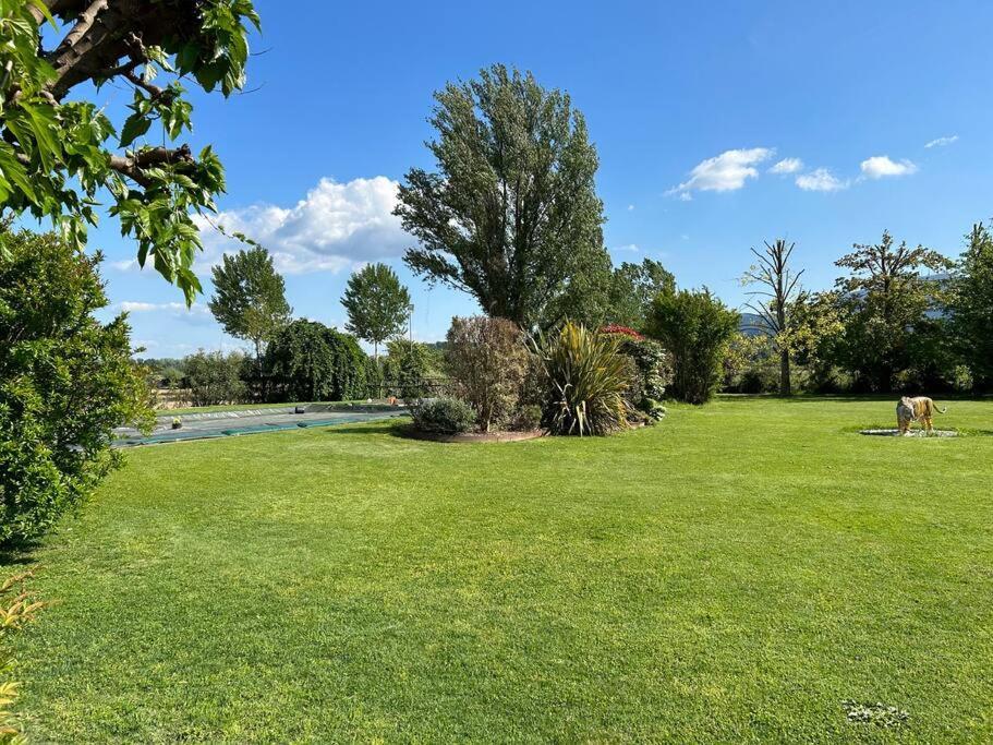 Piscina Privata Tiger Home, Toscana Capannori Eksteriør billede
